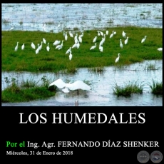 LOS HUMEDALES - Ing. Agr. FERNANDO DAZ SHENKER - Mircoles, 31 de Enero de 2018